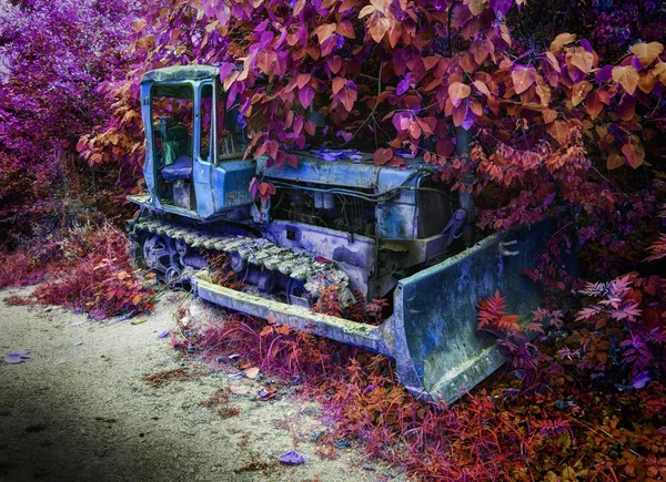 Old fashion antique worn rusted construction full track crawler blue tractor among green trees. Old agricultural industry machine crawler tractor blade vehicle. Abstract tractor background texture