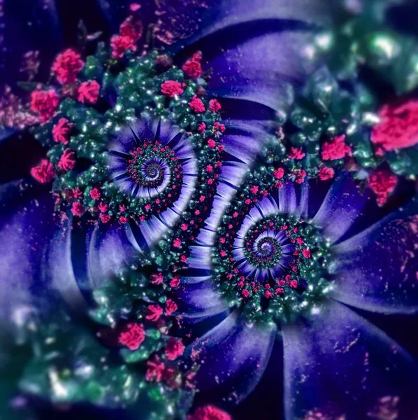 ピンク ネイビー イエロー マゼンタ カモミール デイジー花二重螺旋構造抽象フラクタル効果パターン背景。花渦抽象的なパターンのフラクタル。信じられないほどのマゼンタの花パターン背景の螺旋 — ストック写真