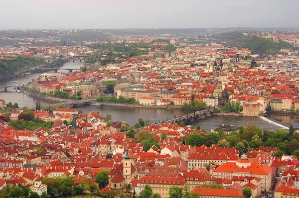 Panoramic view on old antique part of Prague city in Czech Republic. Classic orange terracotta buildings houses roofing, Praha I Charles bridge, cathedral, Vltava river, park. Famous sightseeing tours