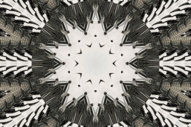 Siyah Kaleidoscope desen arka plan beyaz. Daire desen. Soyut fraktal kaleydoskop arka plan. Soyut fraktal desen geometrik simetrik süsleme. Kaleydoskop desen