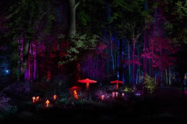 Gece ışıkları 