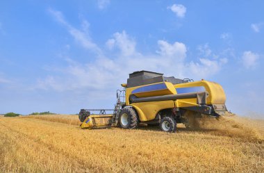 Sarı çalışma buğday hasat görünümü yazında altın buğday alanları çekme birleştirin. Rusya, Europe hasat Ağustos buğday. Çavdar hasat altın buğday alanları ve mavi gökyüzü