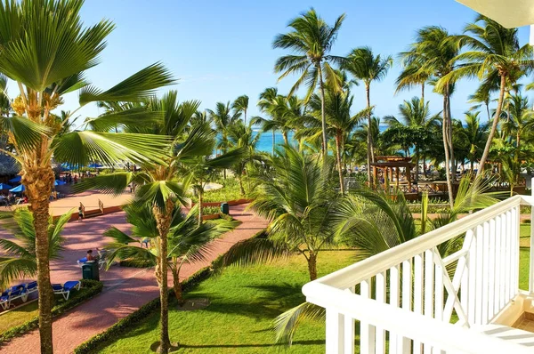 Hotel balcony view on ocean, hotel territory, green grass and coconut palms, sun bathers people, relaxing tourists on sun bads chairs among tropical palms. Tropical holidays vacations tours travels