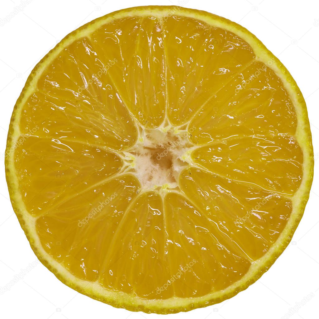 Isolated on white orange slice abstract background object. Yellow orange slice isolated on white background. Flat mandarin orange slice. Orange fruit round piece. 