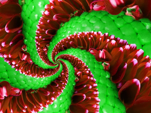 Vermelho Verde Flor Espiral Abstrato Efeito Fractal Fundo Padrão Padrão — Fotografia de Stock