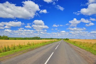Altın buğday alanları ve kırsal alan yol yaz manzarasının. Kursk Krasnodar bölgesi köy yolunda altın buğday alanları arasında. Ufuk giden yol. Ufuk manzarası yol yol yol