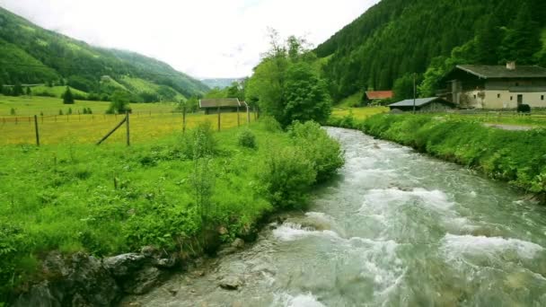 Hegyi patak, hegyi folyó — Stock videók