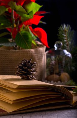 Defter sevimli Noel dekorasyonu, koniler, köknar ağacı görünümünü 