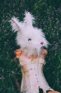 Şehvetli Bunny bir çayırda