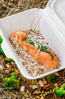 Somon Krema soslu mercimek ve soya filizi ile.