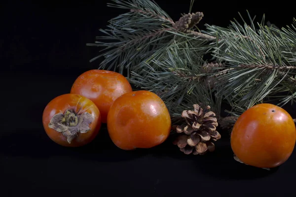 Fruit Kaki Sur Fond Noir Avec Brin Arbres Noël — Photo