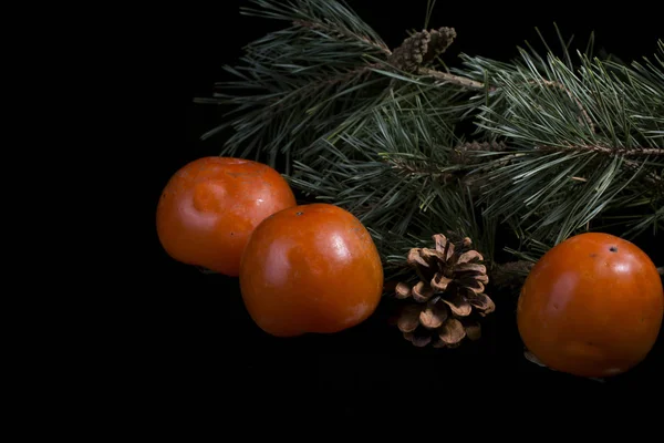 Persimmon Gyümölcs Fekete Alapon Egy Karácsonyfa — Stock Fotó