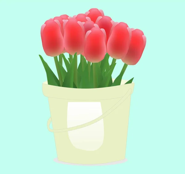 Kytice Krásných Tulipánů Kbelíku Vektorové Ilustrace Sváteční Dárek — Stockový vektor
