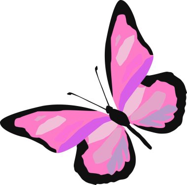 Beyaz arka planda izole edilmiş mor renkli bir pembe ton vektör illüstrasyonunda kelebek