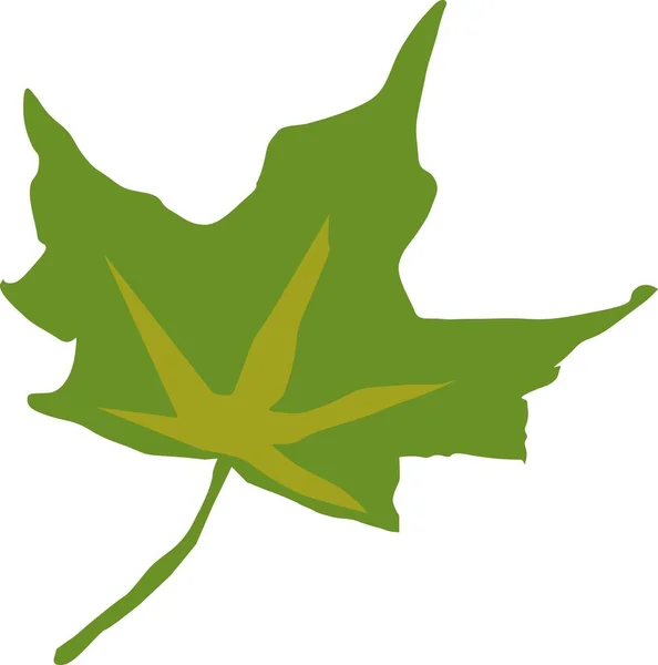 Maple Leaf Green Vector Illustration Isolate White Background — Stock Vector