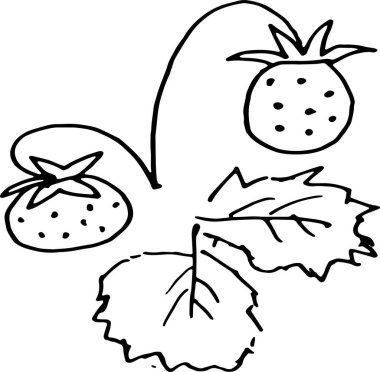Yaprak boyama vektörü illüstrasyonlu çilek