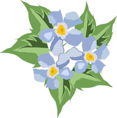 Yeşil yapraklı küçük mavi çiçekler.