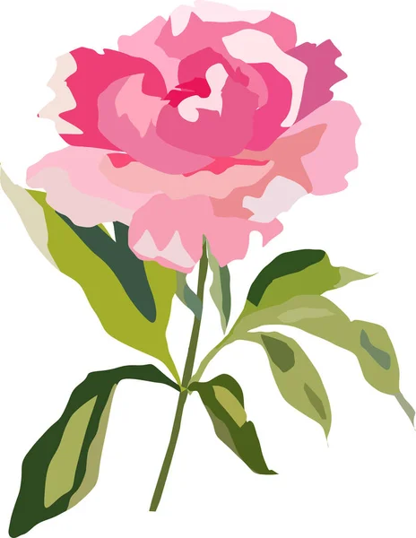 Παιωνία Λουλούδι Ροζ Εικονογράφηση Διάνυσμα Τόνο — Διανυσματικό Αρχείο