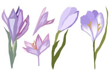 Bahar çiçekleri farklı vektör illüstrasyonları kümesi
