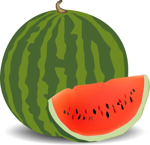 Wassermelone Ganz Und Scheibe Mit Samen Reif Beerenvektor Illustration — Stockvektor