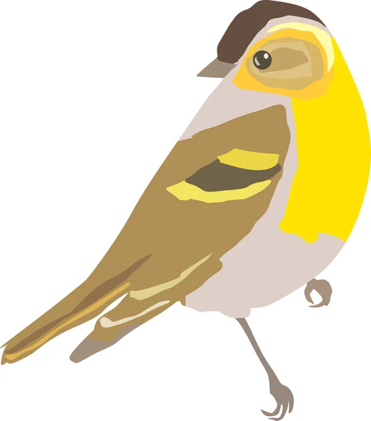 Oiseau Avec Une Poitrine Jaune Une Coiffe Marron Dessin Vectoriel — Image vectorielle