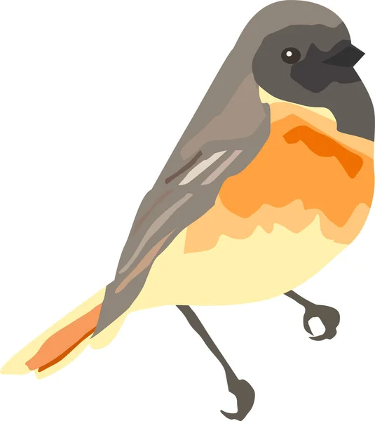 Bird Orange Breast Dark Head Tit — ストックベクタ