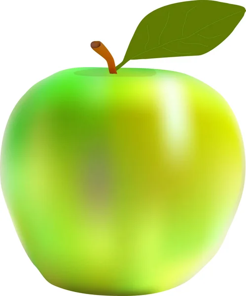 Apfelgrün Sieht Aus Wie Eine Echte Vektorzeichnung — Stockvektor