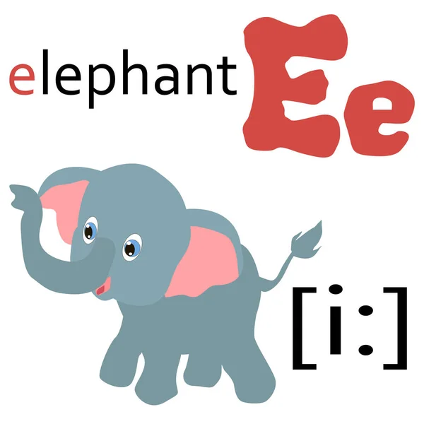 Englischer Buchstabe Mit Elefantenbild Und Transkription — Stockvektor