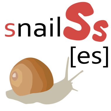 Harf ve salyangoz desenli İngiliz alfabesi