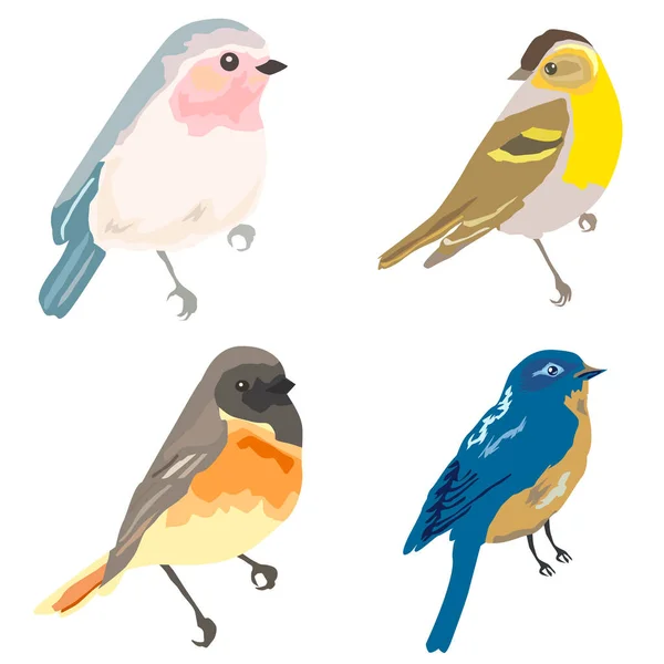 Oiseaux Bleu Différentes Couleurs Ensemble Pour Différentes Utilisations — Image vectorielle