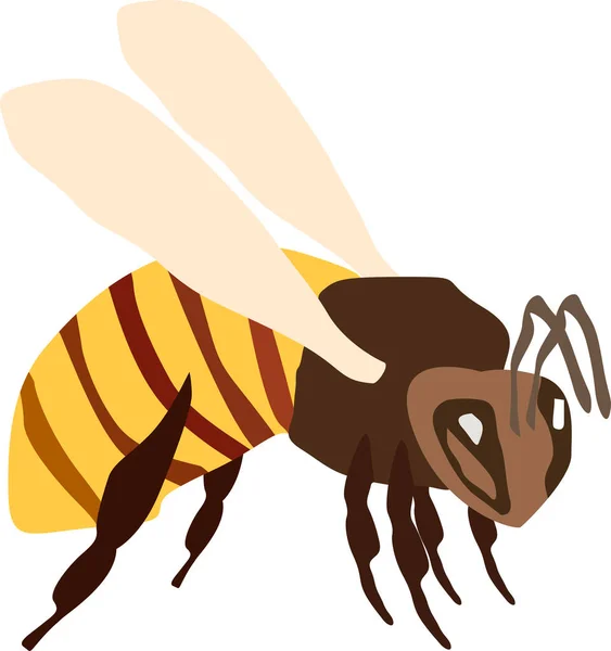 Gelb Braune Bienen Isolieren Auf Weißem Vektor Illustration — Stockvektor