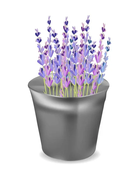 Lawendowe Kwiaty Bukiecie Wiadra — Wektor stockowy