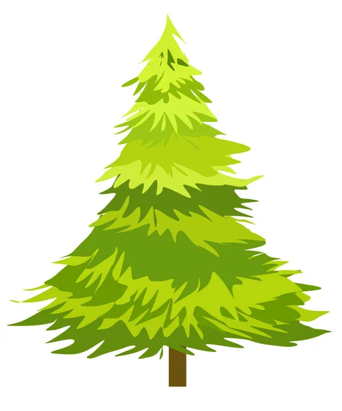 Green Spruce Tree Vector Drawing — Stock Vector