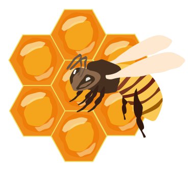 Üzerinde arı olan bal tarakları.