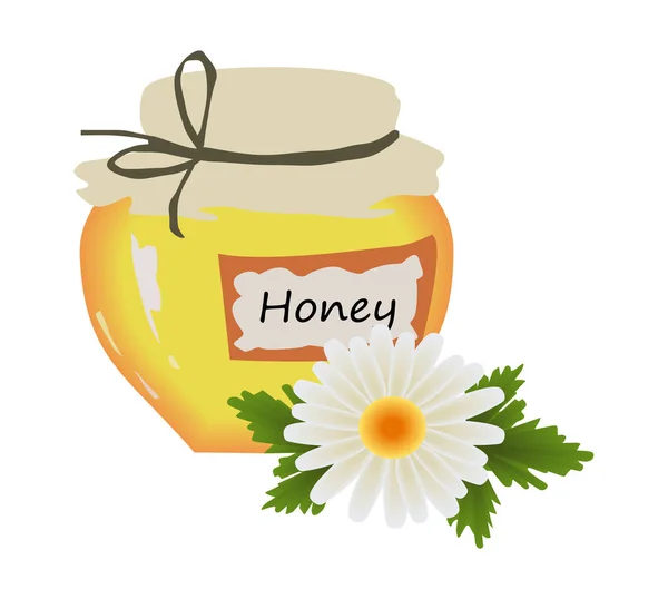 Ein Glas Honig Und Daneben Eine Kamillenblüte — Stockvektor