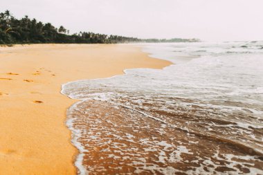 Egzotik sri lanka beach