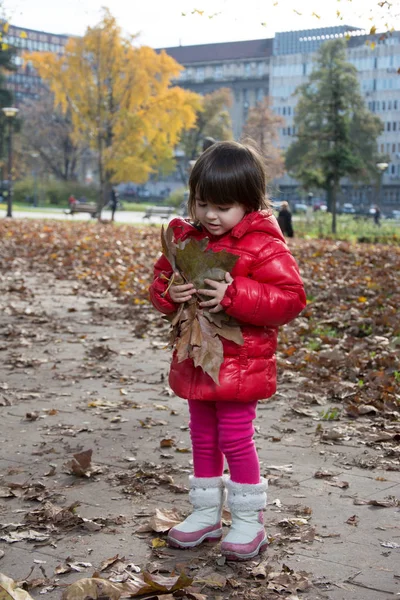 autumn games in the park