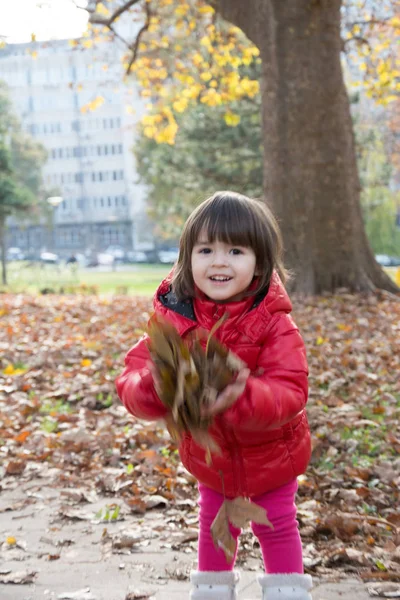 autumn games in the park