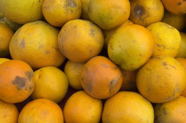 Markette taze turuncu