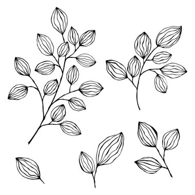 Yaz ve bahar dekorasyonu için el yapımı yaprak ve dallar koyun. Basit yeşil yapraklı ağaç elementleri. Tasarım, logo ve tebrik kartı için Doodle.