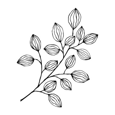 Yaz ve bahar dekorasyonu için tek elle yaprak ve dallar çizdim. Basit yeşil yapraklı ağaç elementleri. Tasarım, logo ve tebrik kartı için Doodle.