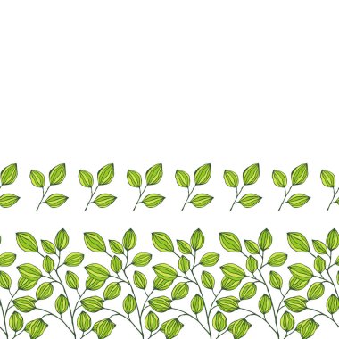 Basit yeşil yaprak elementleri. Tasarım, logo ve tebrik kartı için Doodle vektör çizimi. Yaz ve bahar dekorasyonu için yaprak ve dallarla el çizimi vektör kenarı. 