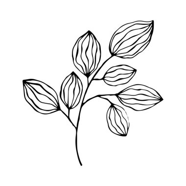 Yaz ve bahar dekorasyonu için tek elle yaprak ve dallar çizdim. Basit yeşil yaprak elementleri. Tasarım, logo ve tebrik kartı için Doodle vektör çizimi.