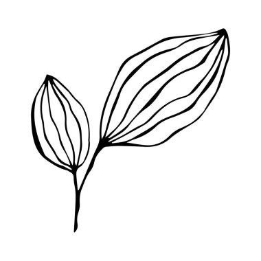 Yaz ve bahar dekorasyonu için tek elle yaprak ve dallar çizdim. Basit yeşil yaprak elementleri. Tasarım, logo ve tebrik kartı için Doodle vektör çizimi.