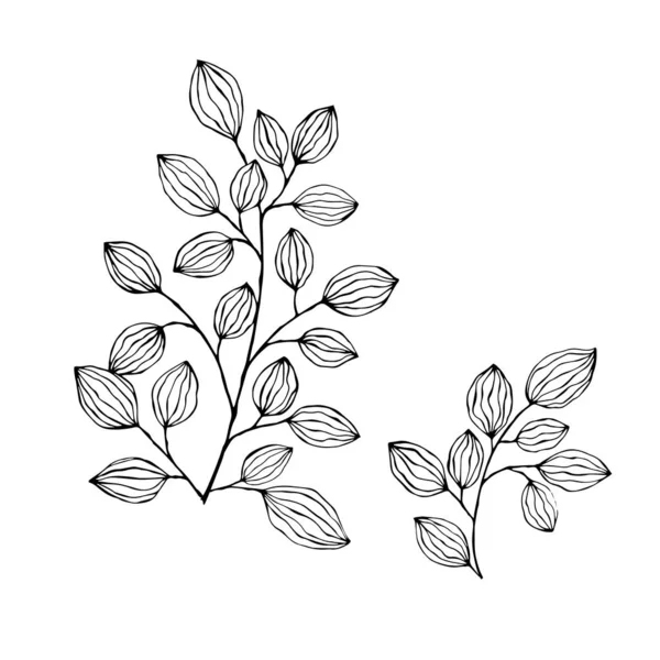 Hand Drawn Leaf Branches Summer Spring Decoration Vector Simple Green — ストックベクタ