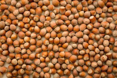 Çuval bezinde fındıklar var. Yumuşak odaklı fotoğraf, makro çekim.