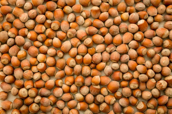 Çuval bezinde fındıklar var. Yumuşak odaklı fotoğraf, makro çekim.