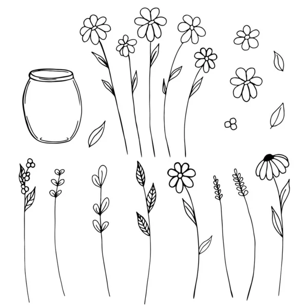 Set Aus Blumen Kräutern Und Krügen Doodle Stil Handgezeichnet Für — Stockfoto