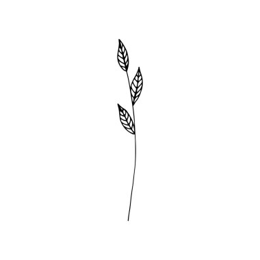 Grass in doodle style hand-drawn for greeting cards, festive decoration.