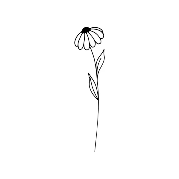 Herbe Style Doodle Dessinée Main Pour Cartes Vœux Décoration Festive — Image vectorielle